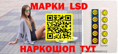 стаф Заводоуковск