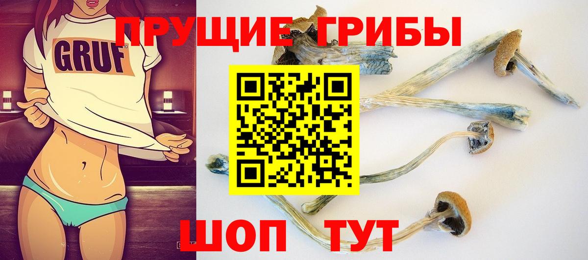 Галлюциногенные грибы Psilocybine cubensis  Вход с VPN  Новокубанск  Псилоцибиновые грибы MAGIC MUSHROOMS 