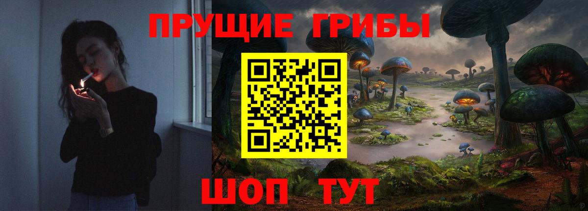 Псилоцибиновые грибы Psilocybine cubensis Новокубанск